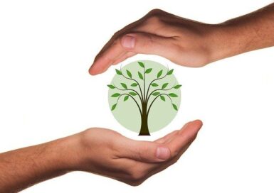 eco-responsable arbre proteger Pixabay
